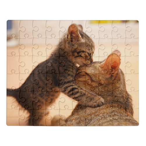 Cutest Baby Animals  Tabby Kitten Kiss Jigsaw Puzzle
