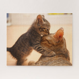 Cutest Baby Animals Tabby Kitten Kiss Jigsaw Puzzle