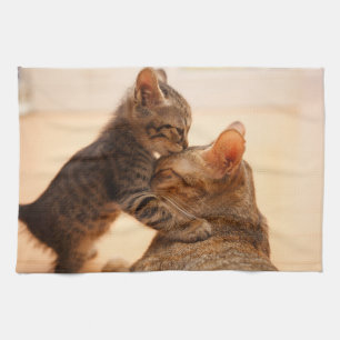 Cutest Baby Animals   Tabby Kitten Kiss Kitchen Towel