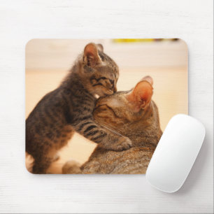 Cutest Baby Animals Tabby Kitten Kiss Mouse Pad