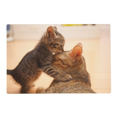 Cutest Baby Animals  Tabby Kitten Kiss Placemat