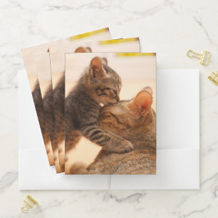 Cutest Baby Animals Tabby Kitten Kiss Pocket Folder