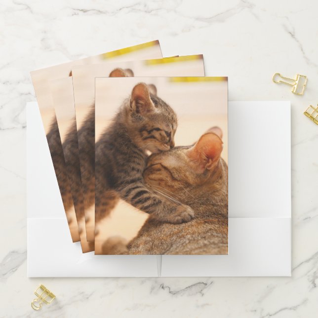 Cutest Baby Animals | Tabby Kitten Kiss Pocket Folder (In Situ)