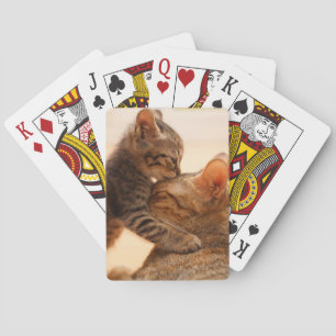 Cutest Baby Animals Tabby Kitten Kiss Poker Cards