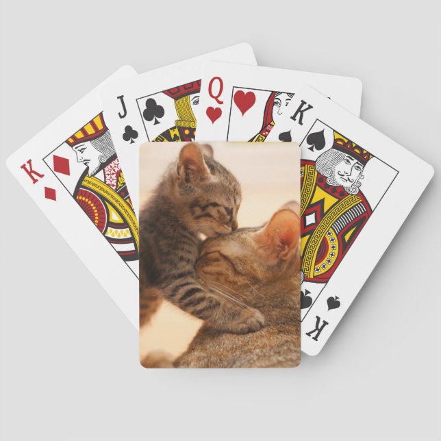 Cutest Baby Animals | Tabby Kitten Kiss Poker Cards (Back)