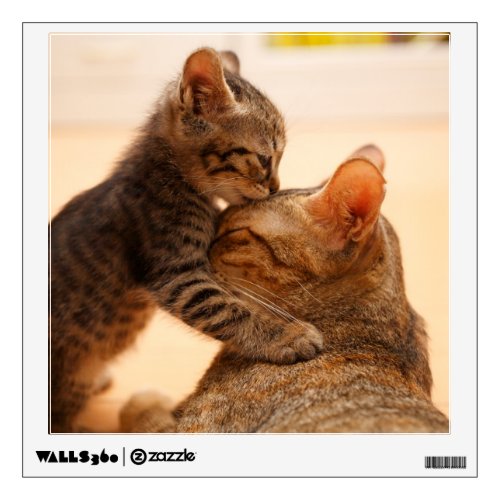 Cutest Baby Animals  Tabby Kitten Kiss Wall Decal
