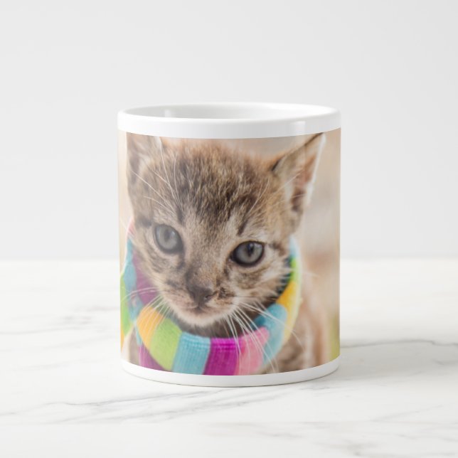Cutest Baby Animals | Tabby Kitten Rainbow Scarf Giant Coffee Mug (Front)