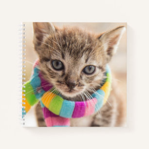 Cutest Baby Animals Tabby Kitten Rainbow Scarf Notebook