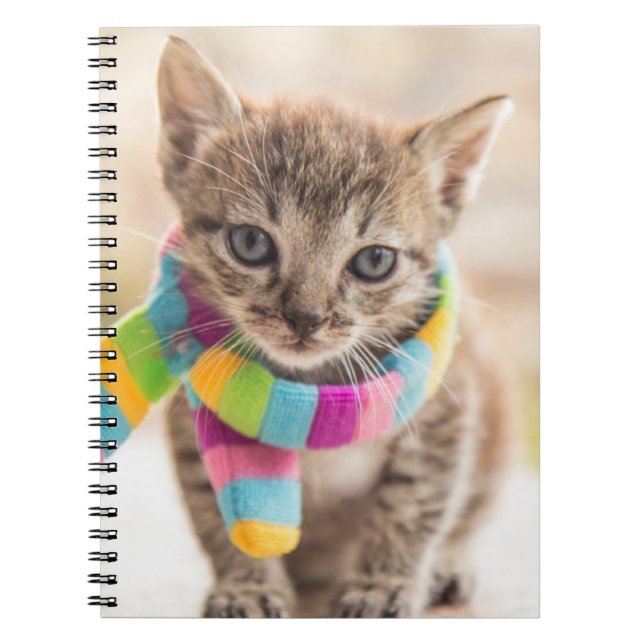 Cutest Baby Animals | Tabby Kitten Rainbow Scarf Notebook (Front)