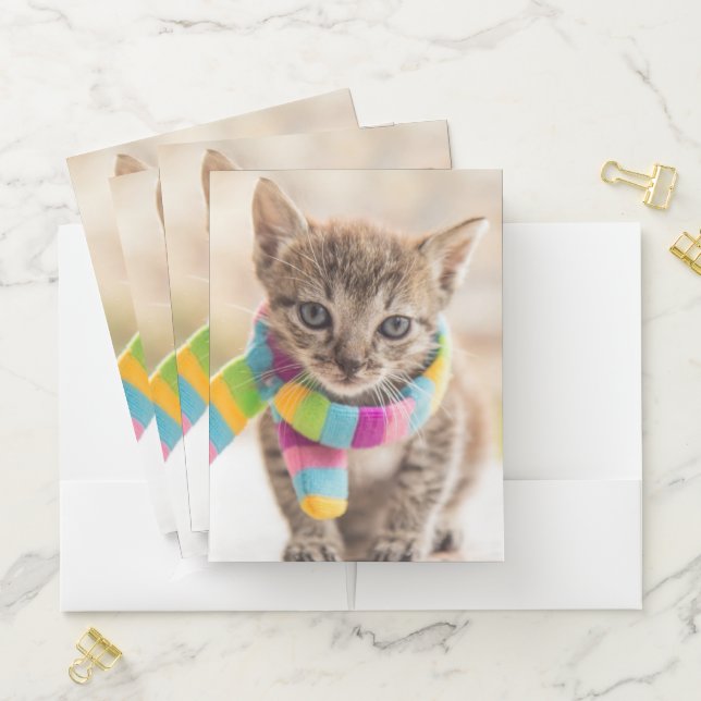 Cutest Baby Animals | Tabby Kitten Rainbow Scarf Pocket Folder (In Situ)