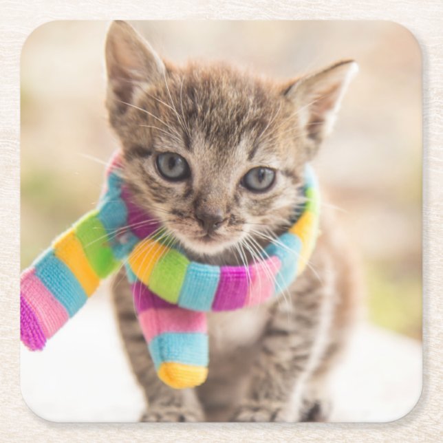 Cutest Baby Animals | Tabby Kitten Rainbow Scarf Square Paper Coaster (Front)
