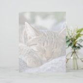 Cutest Baby Animals | Tabby Kitten Sleeping (Standing Front)