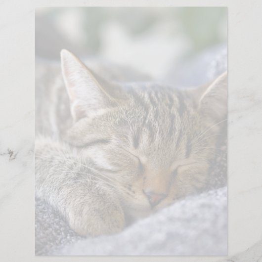 Cutest Baby Animals | Tabby Kitten Sleeping (Front)