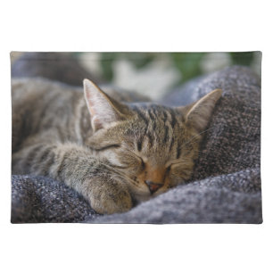 Cutest Baby Animals Tabby Kitten Sleeping Cloth Placemat