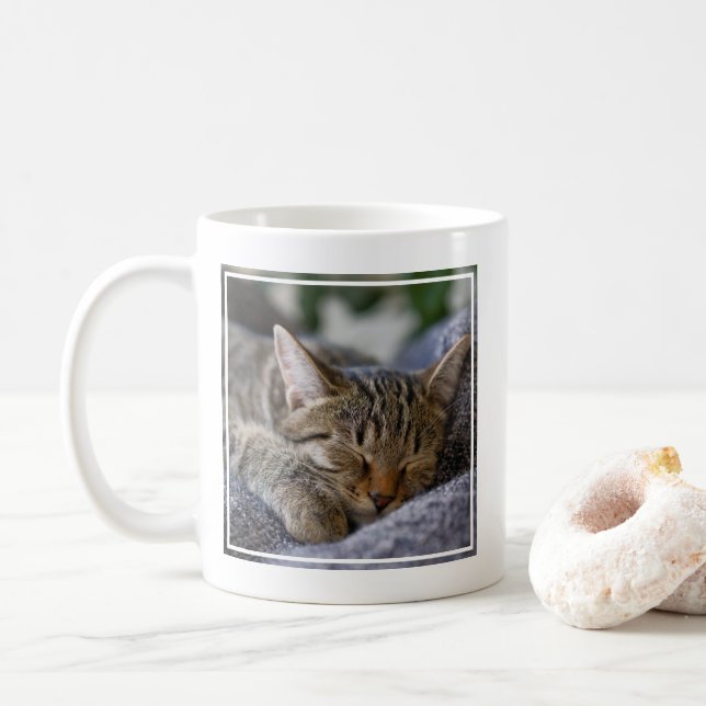Cutest Baby Animals | Tabby Kitten Sleeping Coffee Mug (With Donut)