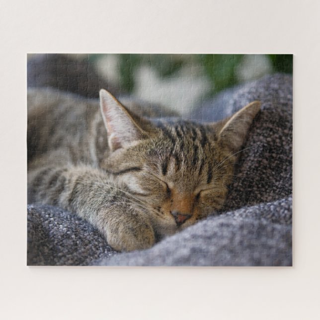 Cutest Baby Animals | Tabby Kitten Sleeping Jigsaw Puzzle (Horizontal)