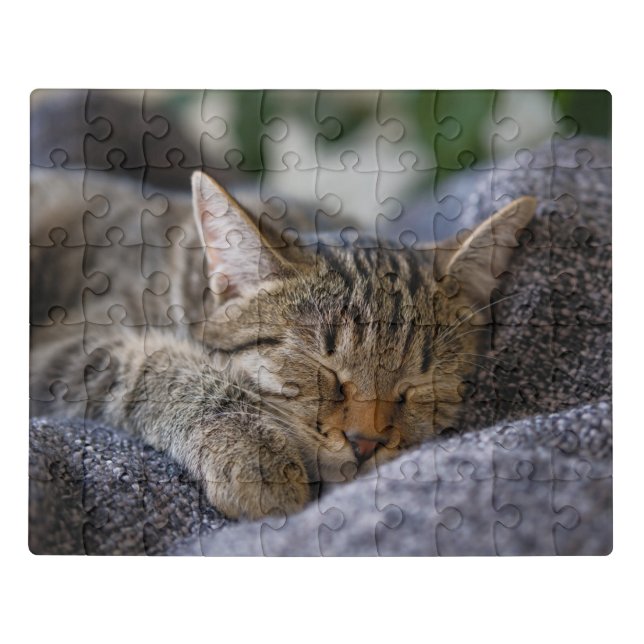 Cutest Baby Animals | Tabby Kitten Sleeping Jigsaw Puzzle (Puzzle Horizontal)