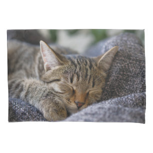 Cutest Baby Animals Tabby Kitten Sleeping Pillow Case
