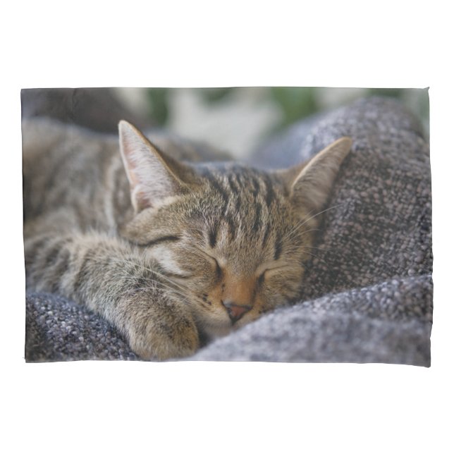 Cutest Baby Animals | Tabby Kitten Sleeping Pillow Case (Front)