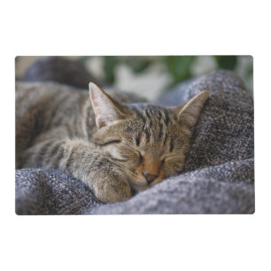 Cutest Baby Animals   Tabby Kitten Sleeping Placemat