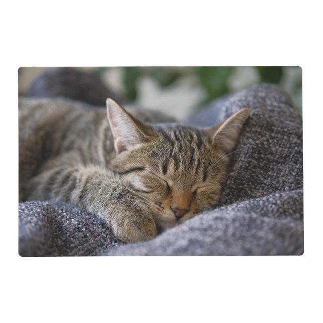 Cutest Baby Animals | Tabby Kitten Sleeping Placemat (Front)