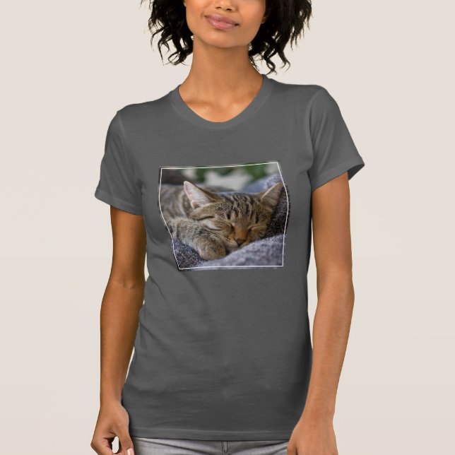 Cutest Baby Animals | Tabby Kitten Sleeping T-Shirt (Front)