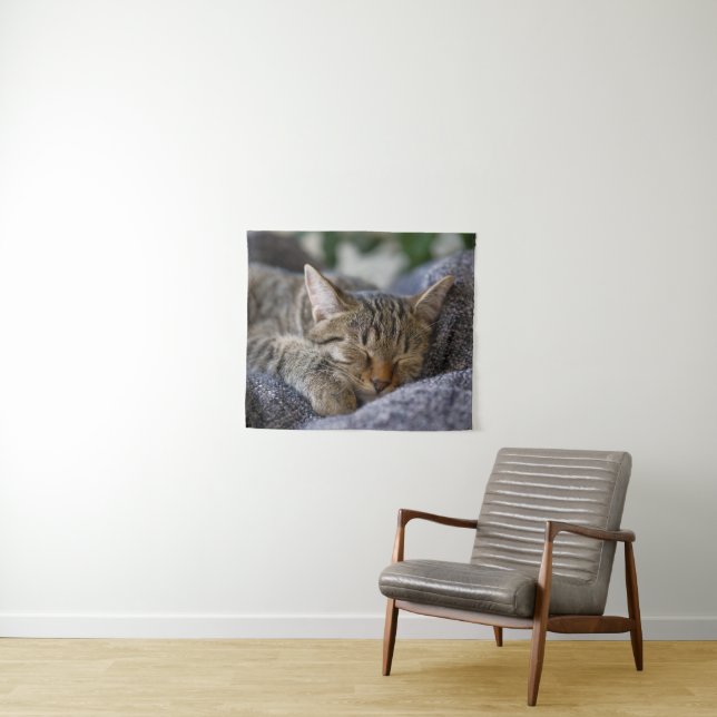 Cutest Baby Animals | Tabby Kitten Sleeping Tapestry (In Situ (Horizontal))