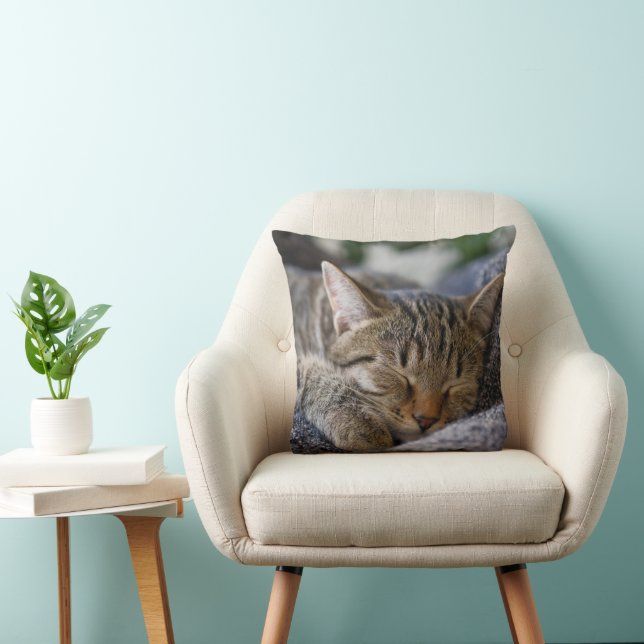 Cutest Baby Animals | Tabby Kitten Sleeping Throw Pillow (Chair)