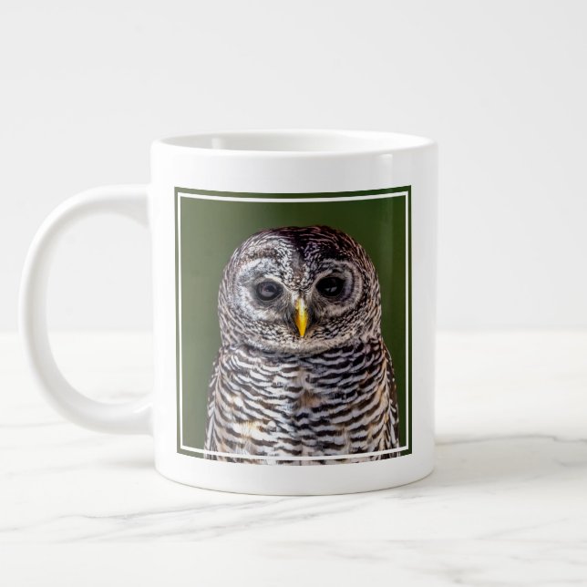 Cutest Baby Animals | Tawny Owl Giant Coffee Mug (Left)