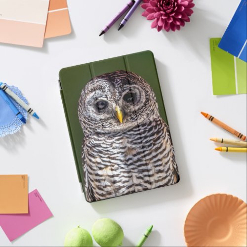 Cutest Baby Animals  Tawny Owl iPad Air Cover