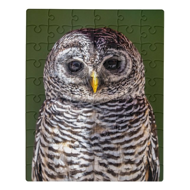 Cutest Baby Animals | Tawny Owl Jigsaw Puzzle (Puzzle Vertical)