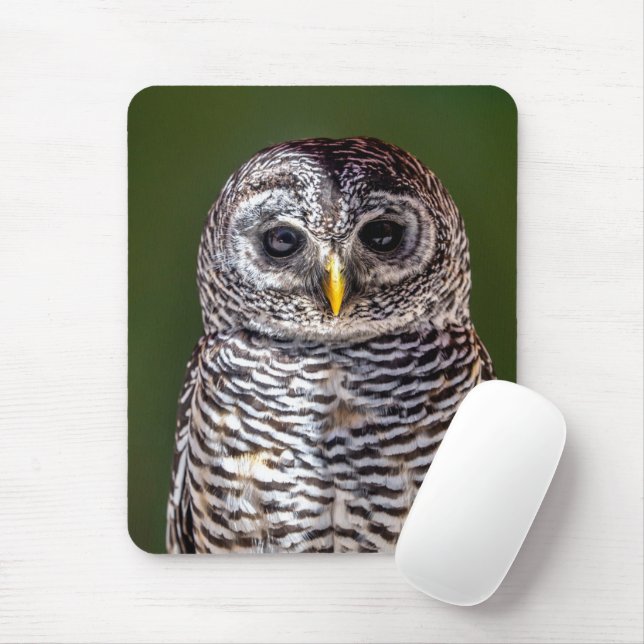 Cutest Baby Animals | Tawny Owl Mouse Pad (With Mouse)