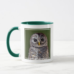 Cutest Baby Animals   Tawny Owl Mug