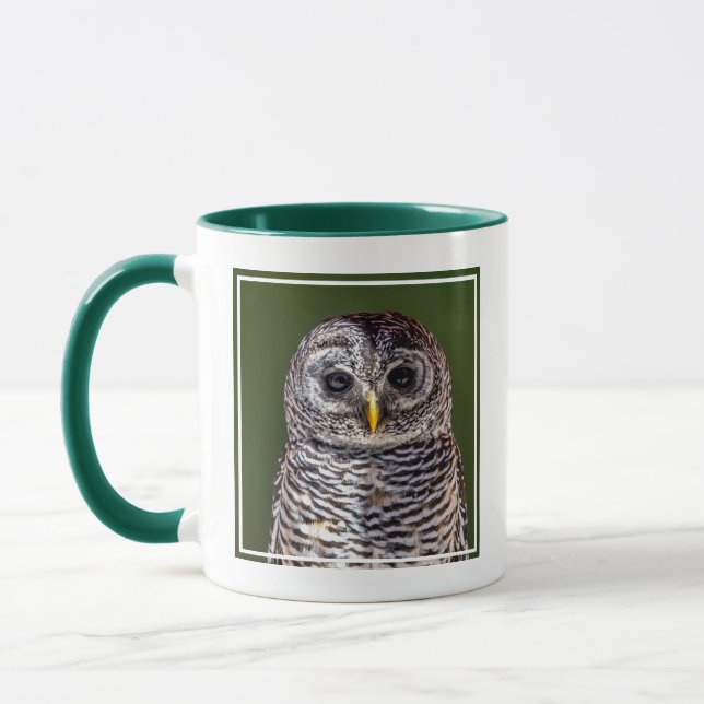 Cutest Baby Animals | Tawny Owl Mug (Left)