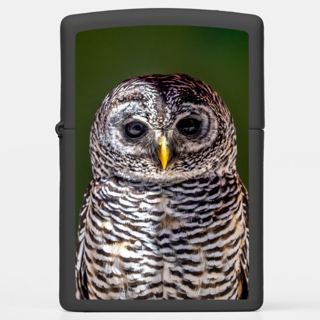 Cutest Baby Animals | Tawny Owl Zippo Lighter (Front)