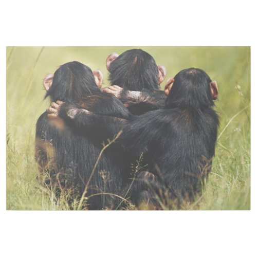 Cutest Baby Animals  Three Chimpanzees Hugging Gallery Wrap