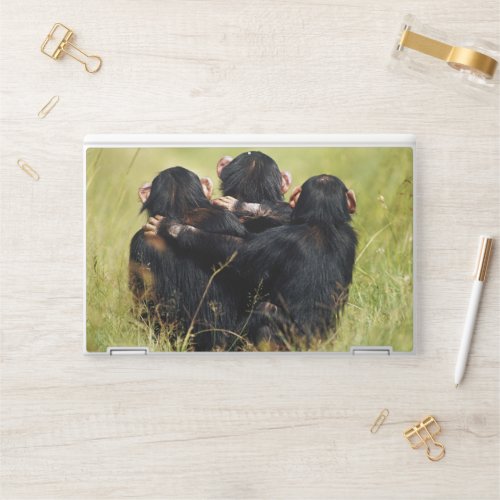 Cutest Baby Animals  Three Chimpanzees Hugging HP Laptop Skin