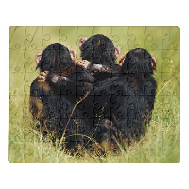 Cutest Baby Animals | Three Chimpanzees Hugging Jigsaw Puzzle (Puzzle Horizontal)