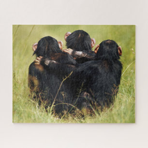 Cutest Baby Animals Three Chimpanzees Hugging Jigsaw Puzzle