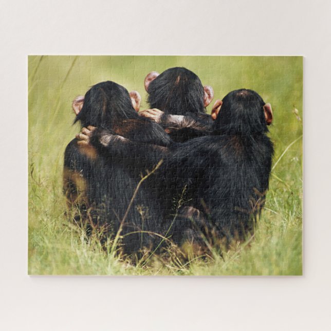 Cutest Baby Animals | Three Chimpanzees Hugging Jigsaw Puzzle (Horizontal)