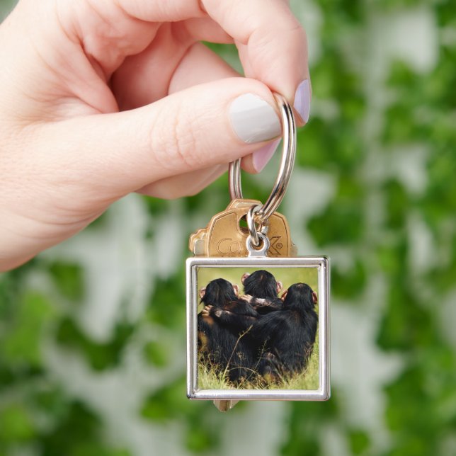 Cutest Baby Animals | Three Chimpanzees Hugging Keychain (Hand)