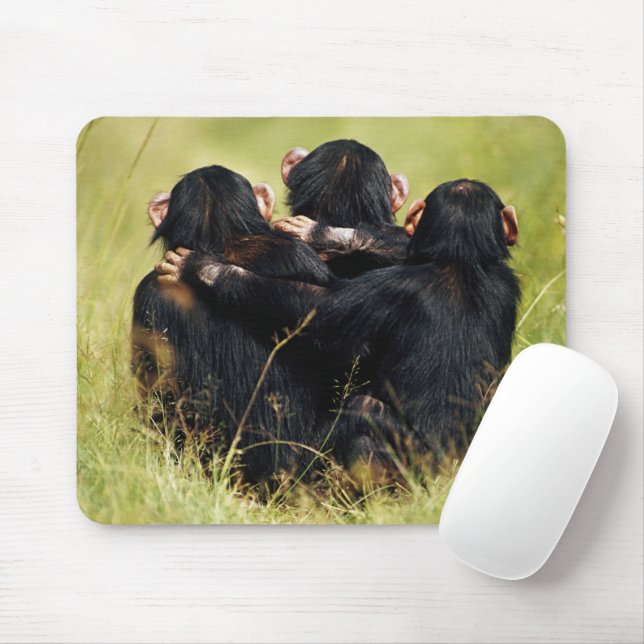 Cutest Baby Animals | Three Chimpanzees Hugging Mouse Pad (With Mouse)
