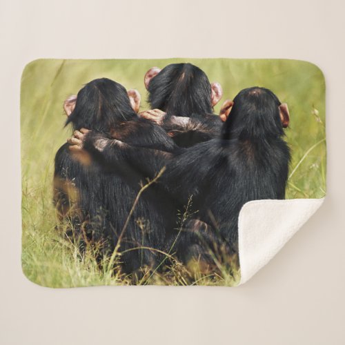 Cutest Baby Animals  Three Chimpanzees Hugging Sherpa Blanket