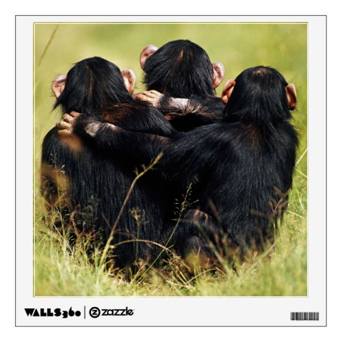 Cutest Baby Animals  Three Chimpanzees Hugging Wall Decal