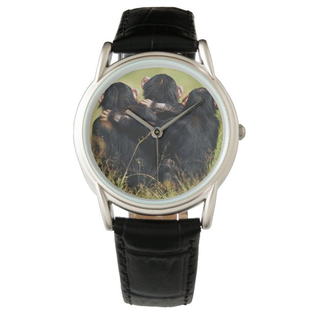 Cutest Baby Animals | Three Chimpanzees Hugging Watch (Front)