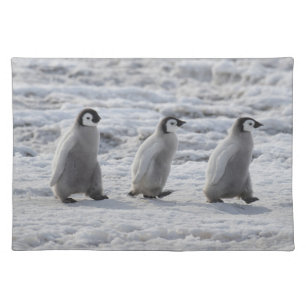 Cutest Baby Animals   Three Emperor Penguin Chicks Cloth Placemat