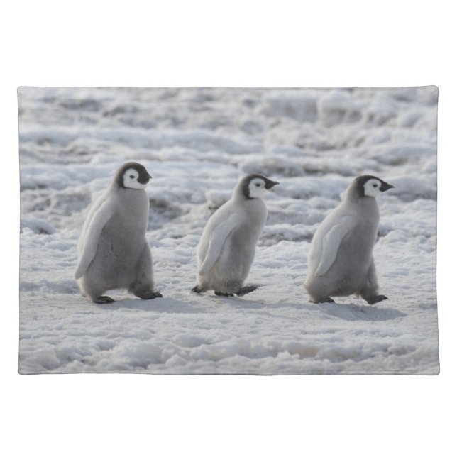 Cutest Baby Animals | Three Emperor Penguin Chicks Cloth Placemat (Front)