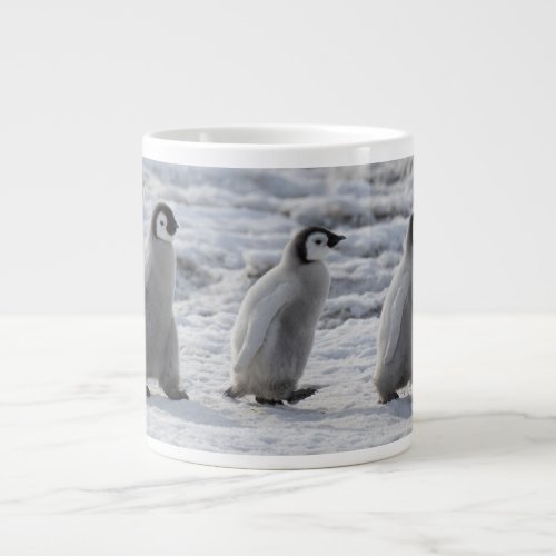 Cutest Baby Animals  Three Emperor Penguin Chicks Giant Coffee Mug