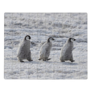Cutest Baby Animals Three Emperor Penguin Chicks Jigsaw Puzzle