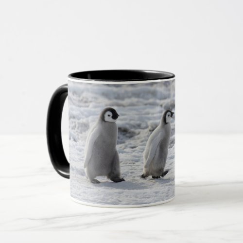 Cutest Baby Animals  Three Emperor Penguin Chicks Mug